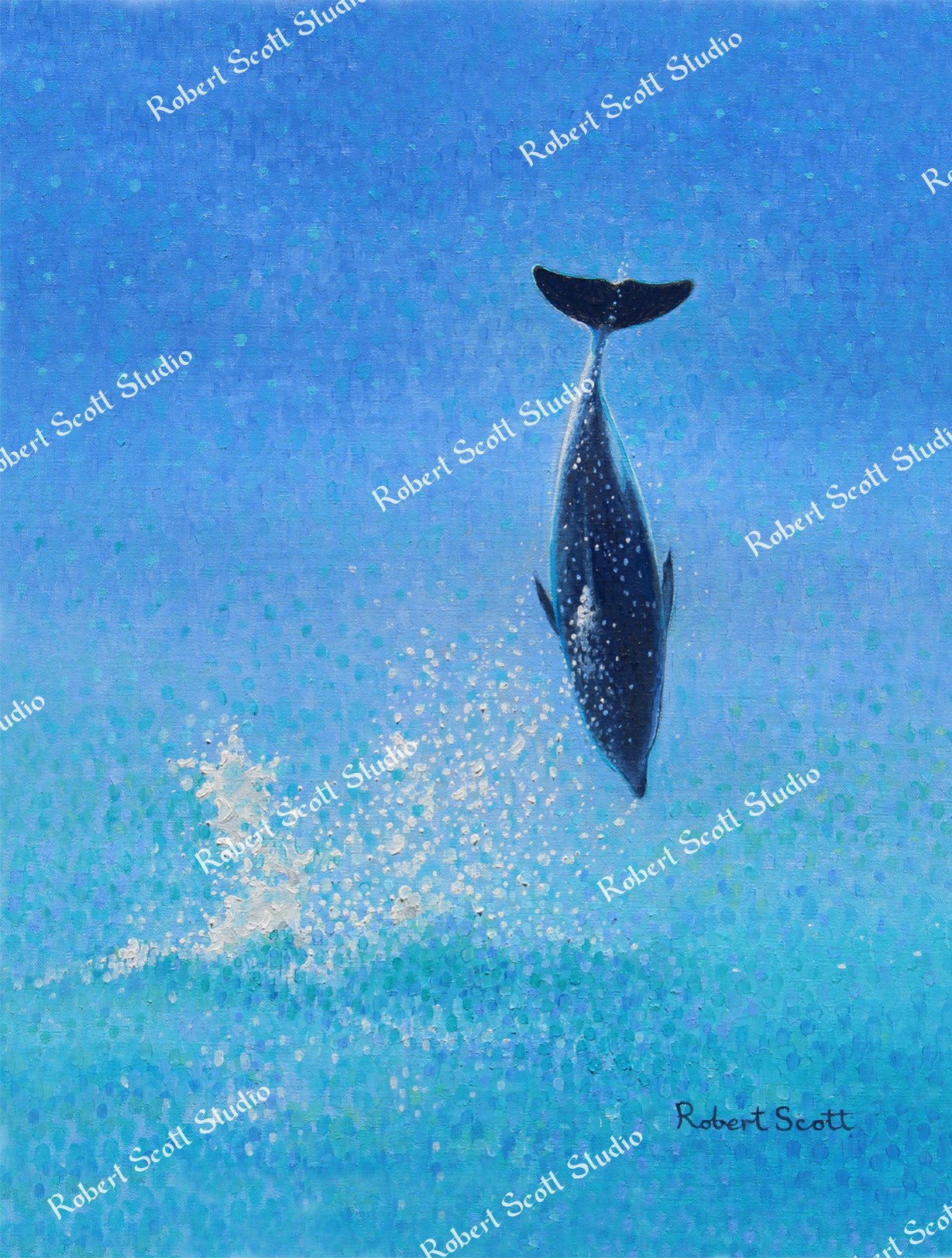 Dusky Dolphin, “What goes up…”