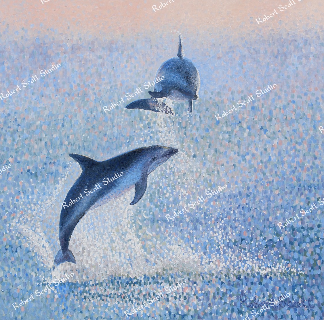 Dusky Dolphins, ‘Rise Above’