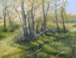Stand Of Oaks, Newtown